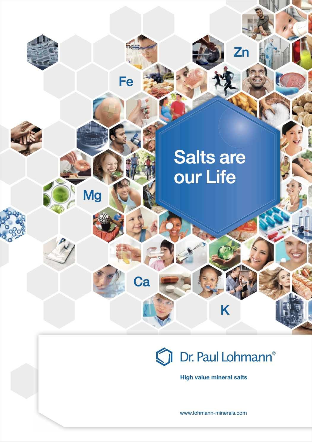 Salts Make Up Our Life PDF Cover
